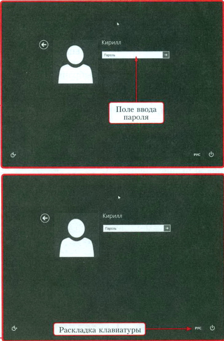 Поле вводы пароля и раскладка клавиатуры