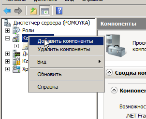 Добавить компоненты Windows 2008